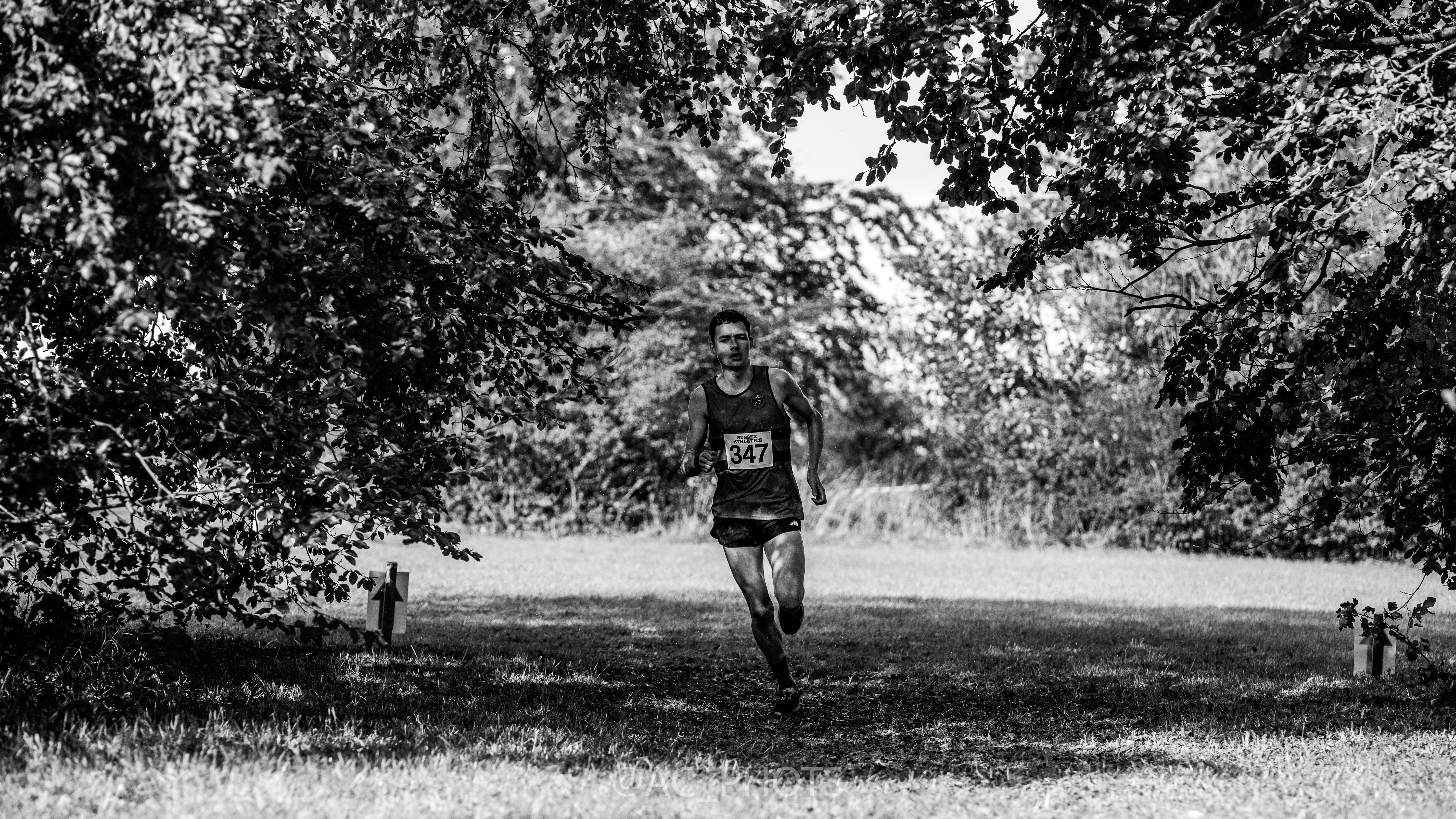 Another XC Season Beginning…