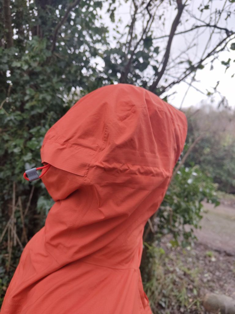 img_20241211_1302135027503943653990141844